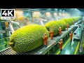 Inside the 50,000 LB Jackfruit Plant – The HYPNOTIC Shredding of Modern Vegan Pork Production