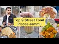Top 9 Famous Food Places In Jammu India | Jammu Street Food | Shiva Soule #jammu #streetfood
