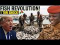 Traoré’s Fish Plan : Burkina Faso SHOCKS the World with Massive Fish Boom