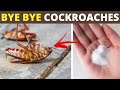2 Home Remedies to Get Rid of Cockroaches in Your House Using Baking Soda and Onion | House Keeper