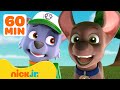 Paw Patrol | ¡PAW Patrol Tiene Muchos Sentimientos! Con Rocky y Zuma | Nick Jr. en Español