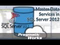 Master Data Services in SQL Server 2012