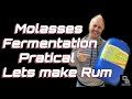 Molasses Fermentation Step-by-Step | How I Make Rum at Home with Treacle 3 **AUDIO FIXED**