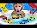 Bon Bon the monkey is going for a swim in the pool and buying colorful Hot Wheels cars.