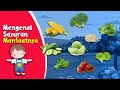 Learn Vegetable Names and Their Benefits | Educational Videos for Children