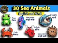 Sea Animals🐳 | Water animals names🦀 - Hindi and English | WATRstar #wateranimals #seaanimals