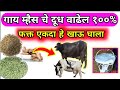 गाय म्हैस चे दूध वाढवणारा एक खास देशी उपाय।milk Increase in cow buffalo।profit।नफा वाढ।formula।upay