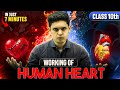 Working Of Human Heart 🔥| Life Processes | Class 10 Science | Prashant Kirad