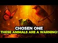 5 Animals That Appear During Your Spiritual Awakening (Don’t Ignore Them!)