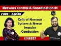 Nervous Control \u0026 Coordination 01 | Cells of Nervous System \u0026 NerveI Impulse Conduction | 11 | NEET