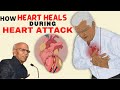 How HEART Heals After HEART ATTACK Happens - Dr. B M Hegde