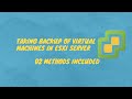 How to take backup of Virtual Machine in ESXI | ESXI in Urdu / Hindi | ESXI Series