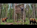 Bears Attack my TreeHouse - Survival 7 Days in the Wild Forest
