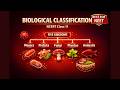 Biological Classification | 3d Animated | NCERT Class 11 | Biology | Best for NEET