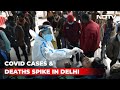 Covid-19 News: Delhi Sees 60% Increase In Hospitalisation For Covid In 14 Days