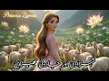 The Shepherd Princess || Urdu Stories || Urdu fairy tales #fairytalesstory #urdufairytales 