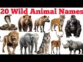 Learn 20 Wild Animals Names In English \u0026 Hindi With Fun Facts | Fun Learning For Children