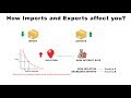 How Imports and Exports Affect You | Economics