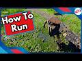 How To Run in Crimson Desert