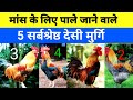 Top 5 Desi Chicken Breeds for Meat 2023