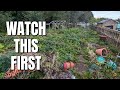 I Wish I Knew This Before Getting An Allotment