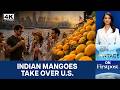 How Did Indian Mangoes Become America’s Hottest Luxury Obsession? | Vantage on Firstpost | 4K