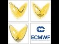 LAMMA - Seminario R. Buizza (ECMWF) Giovedì 7 Luglio 2016