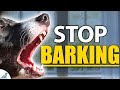 STOP Your Dog From Barking Indoors - Complete Guide