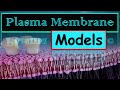 Models of Plasma Membrane Structure (Detailed Explanation)..(#ppt)
