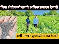 चिया शेती कमी खर्चात अधिक उत्पादन देणारी कमी पाण्यात दुष्काळी भागात येणारी @krushiraj 11 Sep 2023
