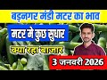 3 जनवरी 2026 बड़नगर मंडी मटर भाव| badnagar mandi matar bhav | बड़नगर मटर भाव