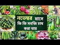 নভেম্বর মাসে কি কি সবজি চাষ করা যায় - এই ১০ টি সবজি চাষে বেশি লাভ🔥