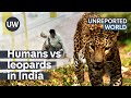 Humans vs leopards: India's silent predators | Unreported World