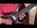 Champagne - Polyphia  (Tim Henson's solo)