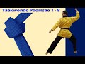 Taekwondo Poomsae 1 - 8 - Mohamed El Haloui