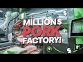 Mind-Blowing Million Dollar Modern Pork Processing Factory Technology | Pig Farming Tech