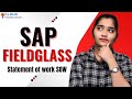 SAP FiledGlass Statement of Work SOW | SAP FiledGlass Training | SAP FiledGlass | CloudFoundation