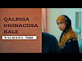 MUSALSALKA QALBIGA DHINACIISA KALE S2 EPISODE 7