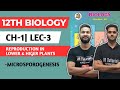 12th Biology | Chapter 1|Reproduction in Lower \u0026 Higer Plants | Lecture 3 | Megasporogenesis |