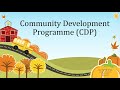 Community Development Programme  CDP