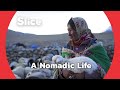 Nomadic Life in the Himalayan Highlands | SLICE