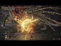 Elden Ring - Golden Hippopotamus (NO DAMAGE)