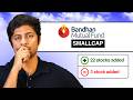 Why is Bandhan Small Cap Adding These 22 Stocks