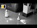 Robot in China persuades others to ‘go home’