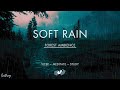 Soft Rain Over A Creek | No Midroll Ads | Soothing Rain Sounds For Sleeping | RDR2 ASMR