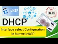 How to Configure DHCP \u0026 Dns using Interface Select in Router on eNSP Huawei hindi urdu english