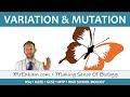 Variation and Mutation - GCSE Biology (9-1)