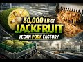 Inside the 50,000 LB Jackfruit Plant | Hypnotic Vegan Pork Production Process