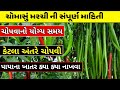 ચોમાસું મરચી ની સંપૂર્ણ માહિતી || મરચી ની ખેતી | marchi ni kheti | #મોજીલોખેડૂત