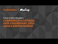 Cloudera Data Catalog | Data Stewardship, Data Lakes, \u0026 GDPR in Pharma